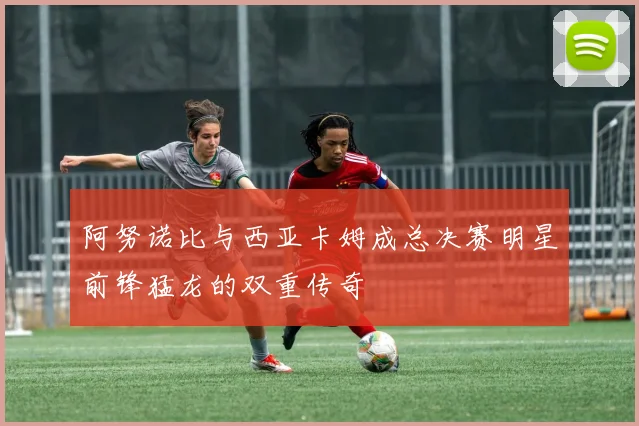 阿努诺比与西亚卡姆成总决赛明星前锋猛龙的双重传奇